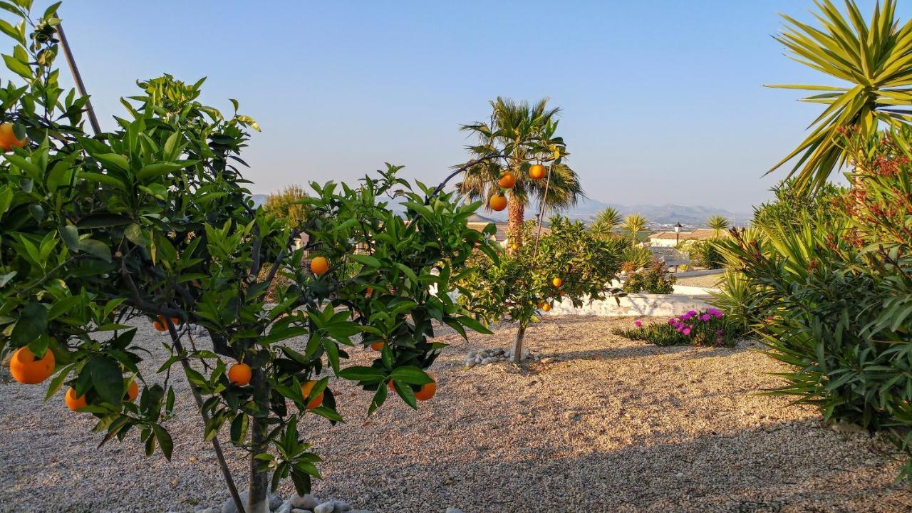 Villa Campos del Río 外观 照片